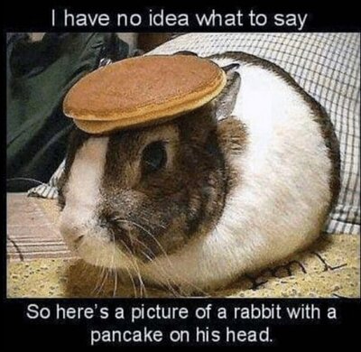 rabbit pancake.jpg