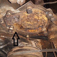 20200919_175505.jpg