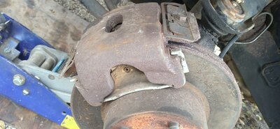 LF Caliper 2.jpg