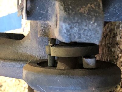 IMG_7453 thumbnail.JPG