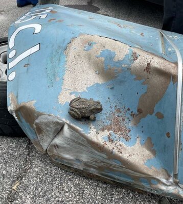 ToadRacer totaled 8 snip.JPG