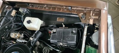 20230728_100355.jpg