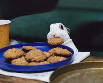cookiethief.jpg