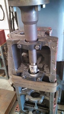 IMG_20131011_152509_589.jpg
